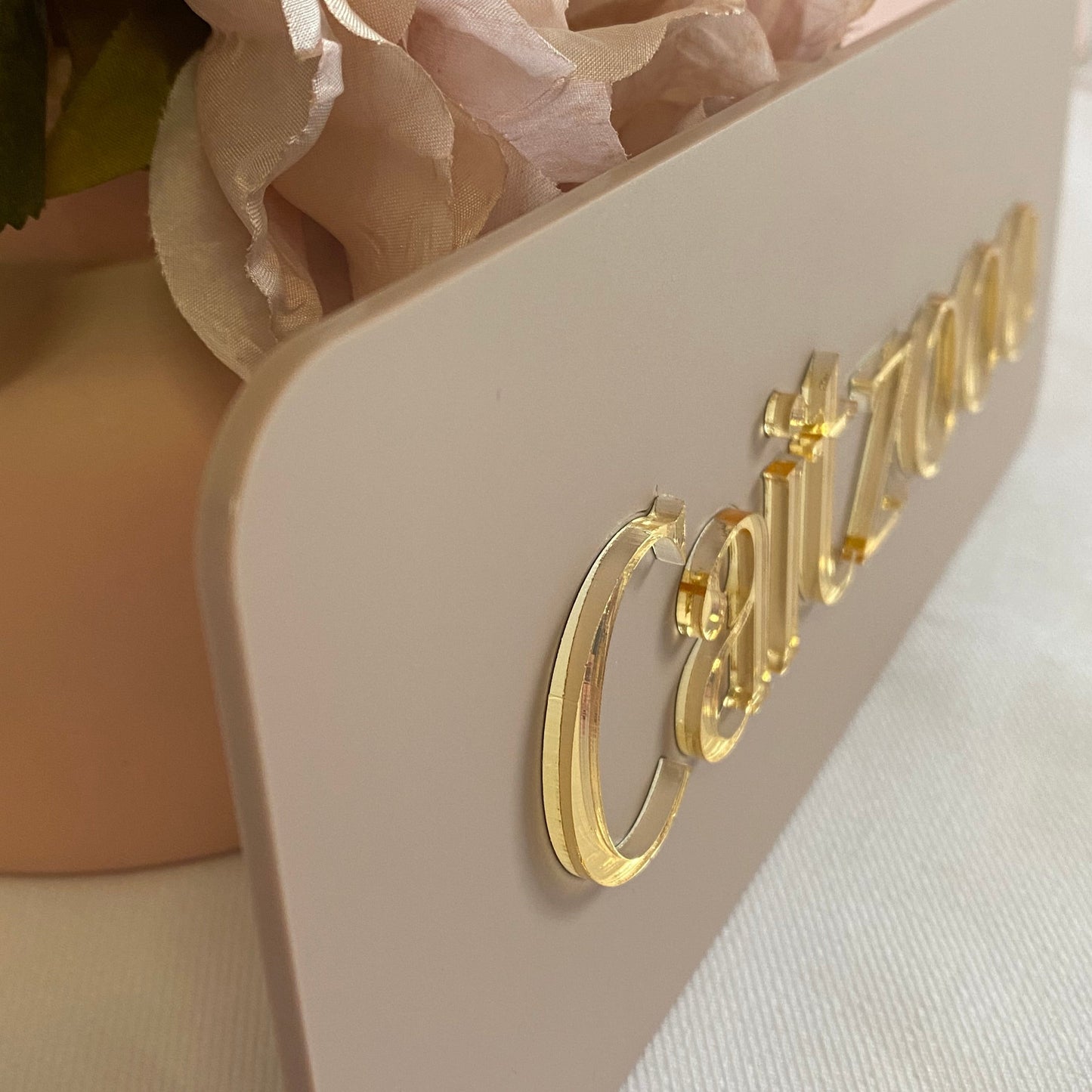 Side view showing 3d detail of the business door sign with nude acrylic background and gold mirror business name