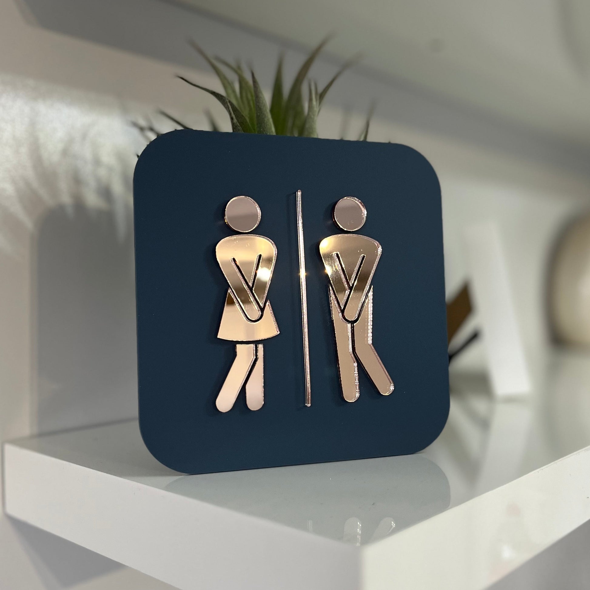 Acrylic Bathroom Door Sign with male and female symbols
